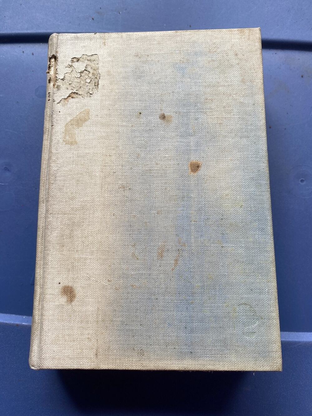 Told By An Idiot Boni & Liverights Rose Macaulay Vintage Book 1923